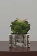 FF' Decor Small Table plant (Flower Decor)