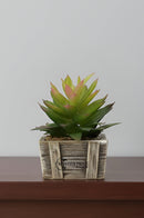 FF' Decor Small Table plant (Flower Decor)